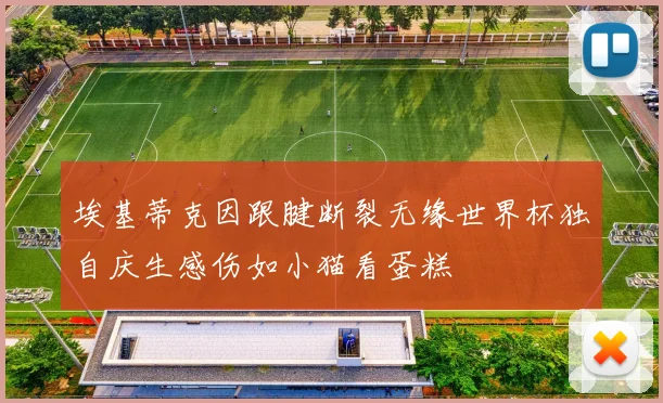 埃基蒂克因跟腱断裂无缘世界杯独自庆生感伤如小猫看蛋糕
