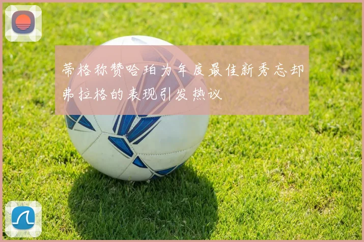 蒂格称赞哈珀为年度最佳新秀忘却弗拉格的表现引发热议
