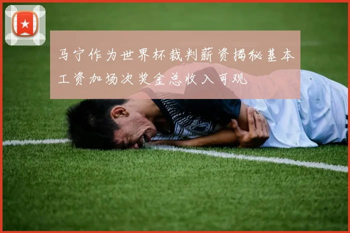 马宁作为世界杯裁判薪资揭秘基本工资加场次奖金总收入可观
