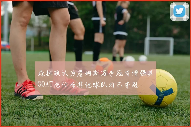 森林狼认为詹姆斯若夺冠将增强其GOAT地位而其他球队均已夺冠