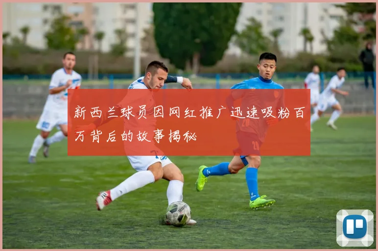 新西兰球员因网红推广迅速吸粉百万背后的故事揭秘